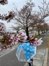 ほのぼのな時間